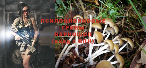 экстази Богородск