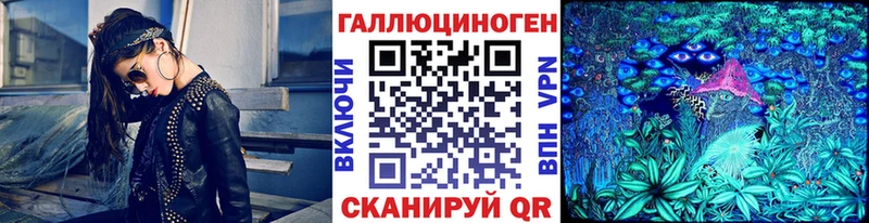 Купить закладки  Завитинск  Галлюциногенные грибы Cubensis 